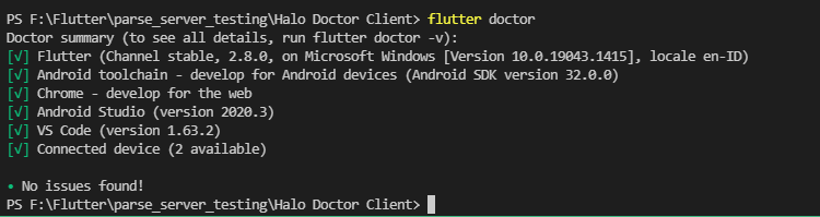 Flutter Doctor